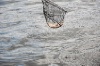 20120607_ (171)